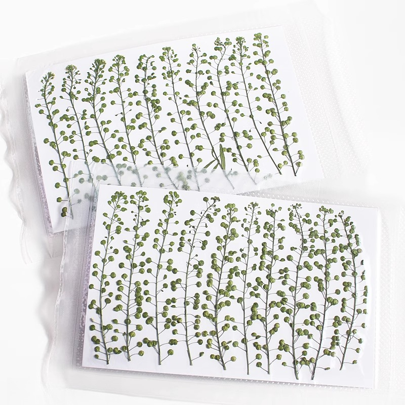 Natural Color Green Bell Grass - Resin Craft Ideas review and price