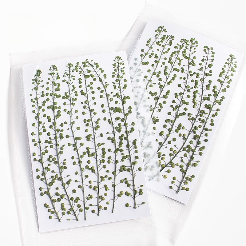 Natural Color Green Bell Grass - Resin Craft Ideas review and price