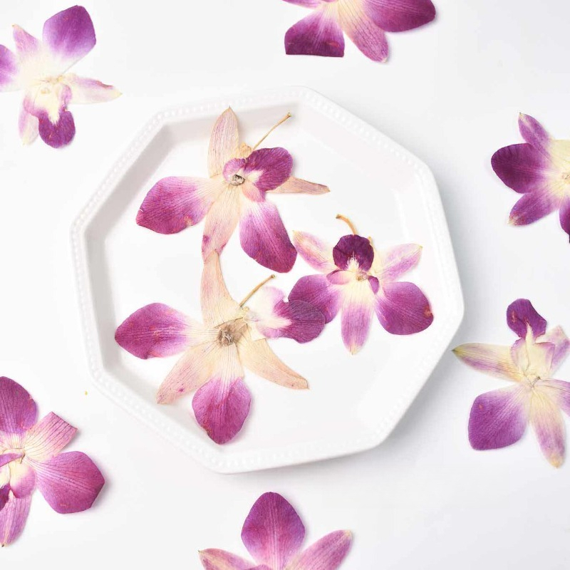 4pcs,Real Pressed Butterfly Or - Resin Craft Ideas review and price