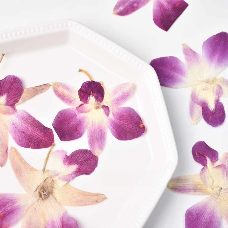 4pcs,Real Pressed Butterfly Or - Resin Craft Ideas review and price