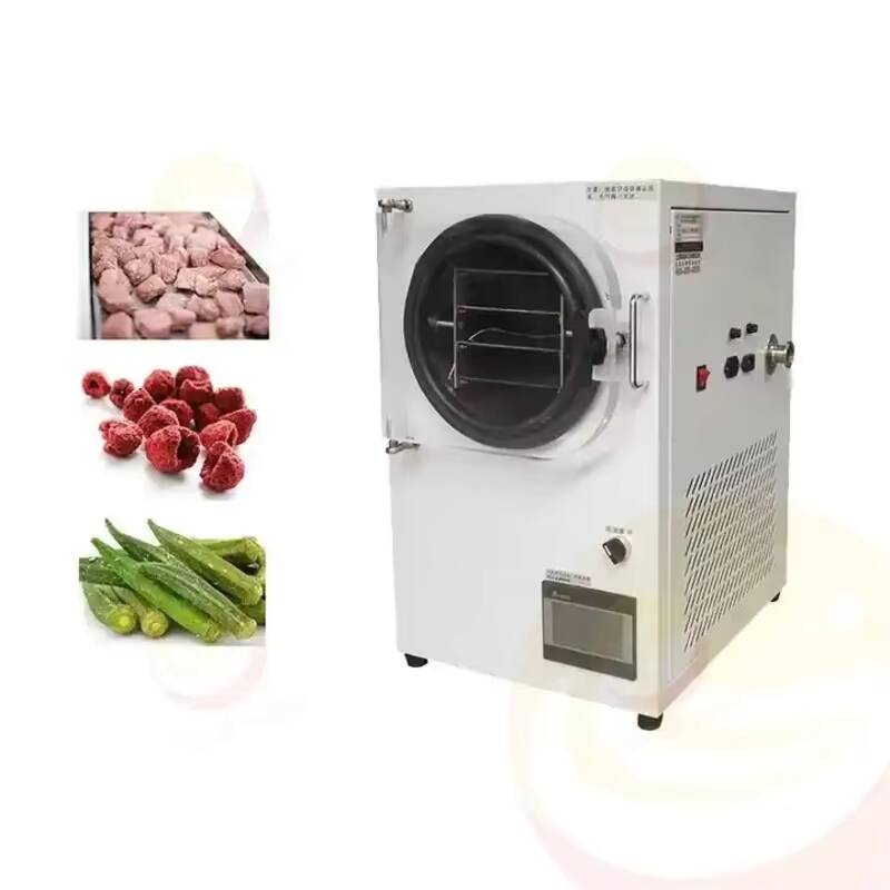 Freeze Drying Machine Small Va - Vacuum Chamber Small review and price