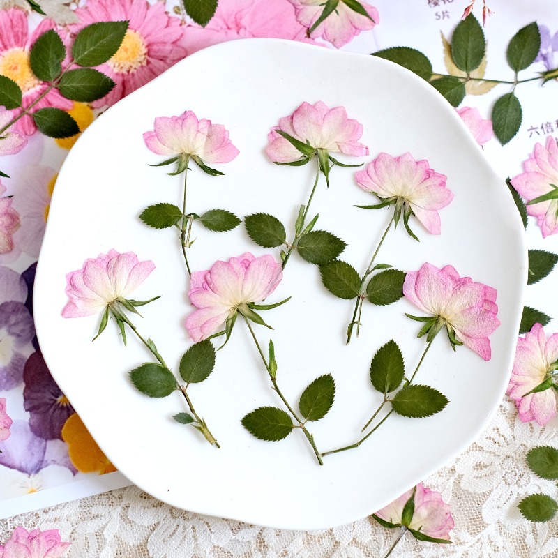 12pcs,Real Dried Pressed Flowe - Resin Craft Ideas review and price